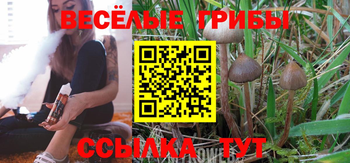 Галлюциногенные грибы прущие грибы Братск