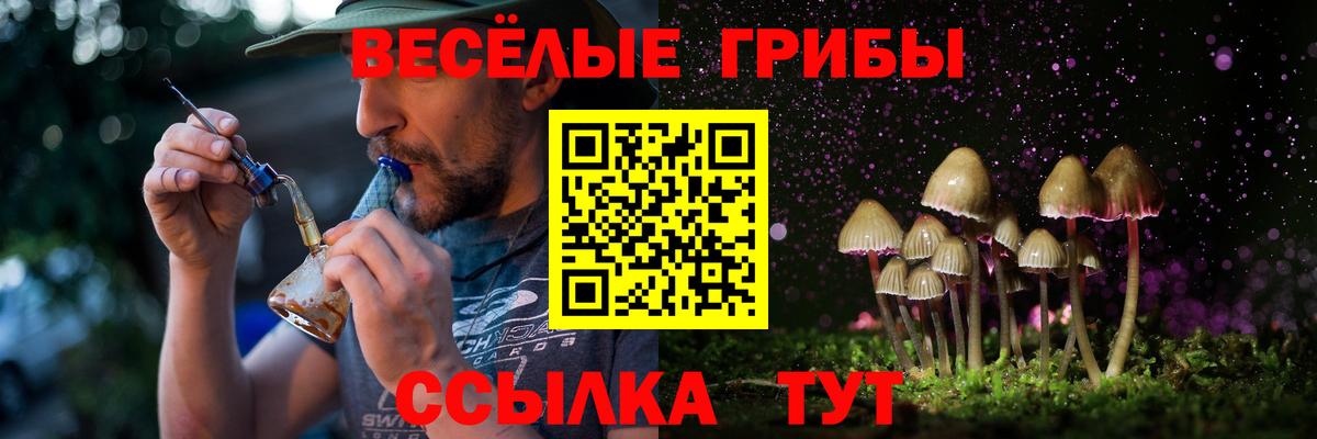 Братск  Псилоцибиновые грибы Psilocybine cubensis  Псилоцибиновые грибы Psilocybe  Вход с VPN 
